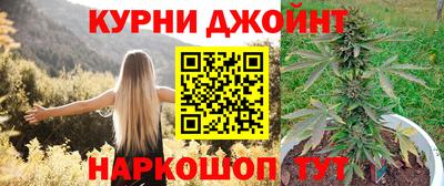 сатива Моздок