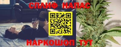 сатива Моздок
