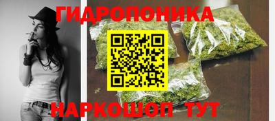 сатива Моздок