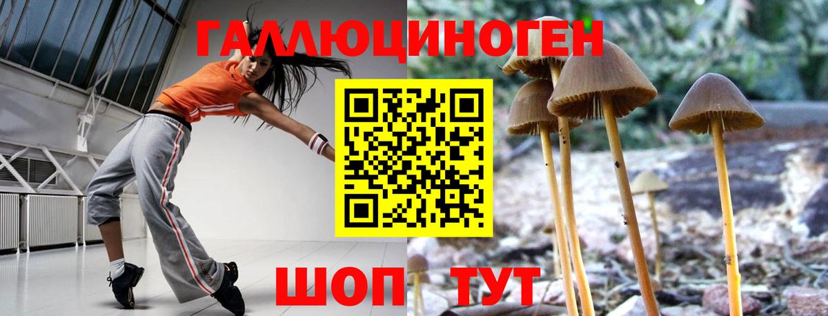 Галлюциногенные грибы мухоморы Строитель